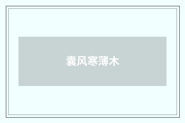 囊风寒薄木