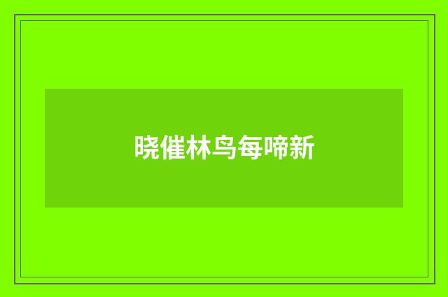 晓催林鸟每啼新