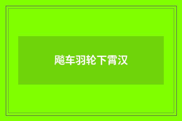 飚车羽轮下霄汉