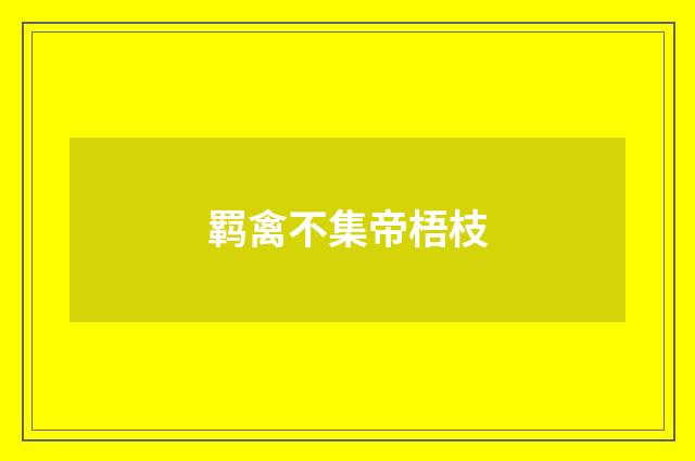 羁禽不集帝梧枝