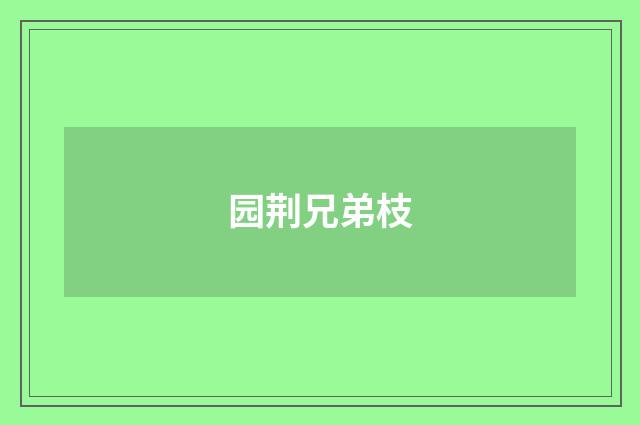 园荆兄弟枝