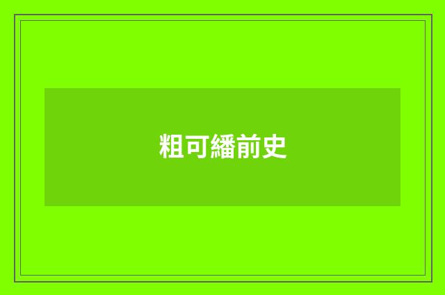 粗可繙前史