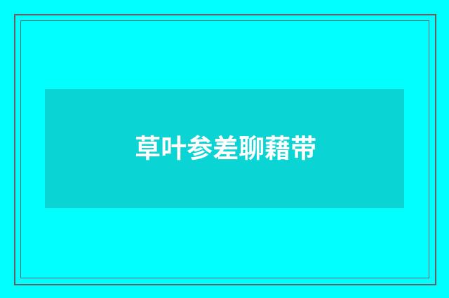 草叶参差聊藉带