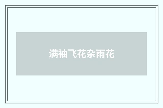 满袖飞花杂雨花