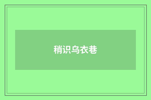 稍识乌衣巷