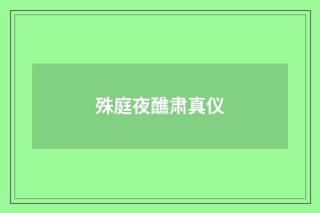 殊庭夜醮肃真仪