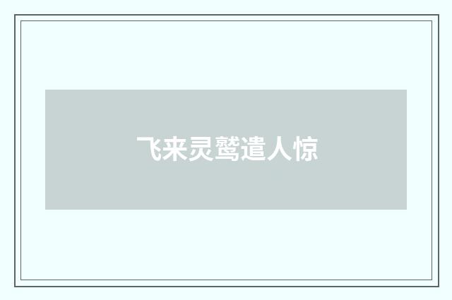 飞来灵鹫遣人惊