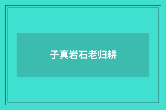 子真岩石老归耕