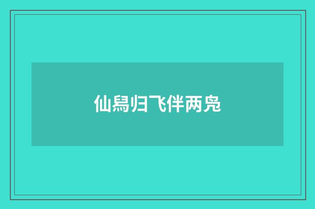 仙舄归飞伴两凫
