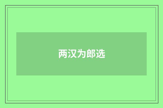 两汉为郎选