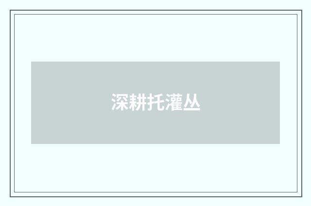 深耕托灌丛