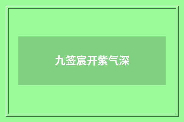 九签宸开紫气深