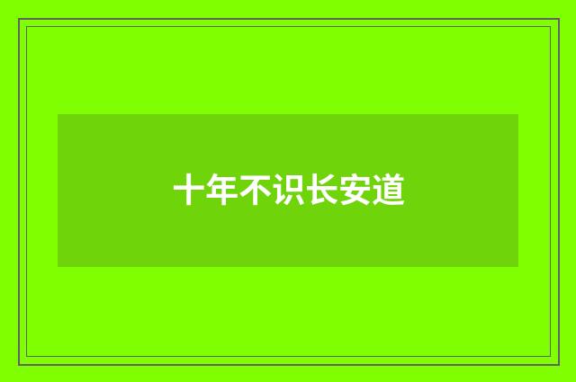 十年不识长安道