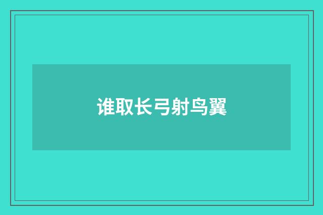 谁取长弓射鸟翼