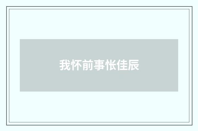 我怀前事怅佳辰