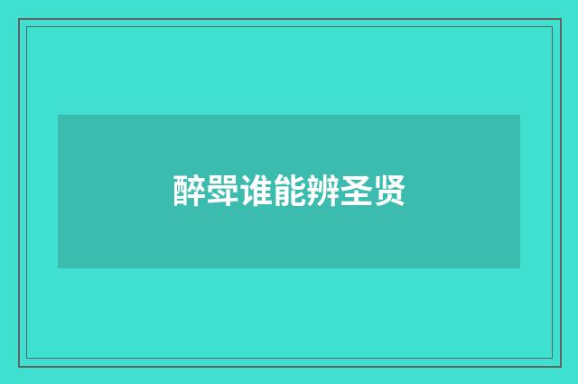 醉斝谁能辨圣贤