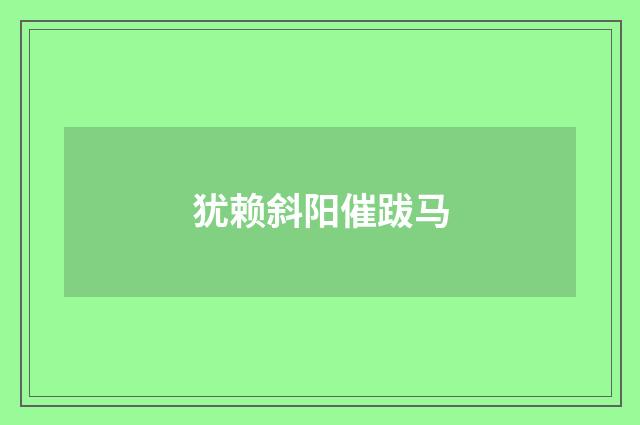 犹赖斜阳催跋马