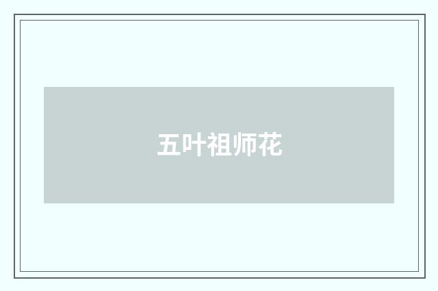 五叶祖师花