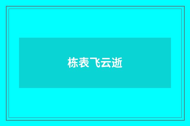 栋表飞云逝