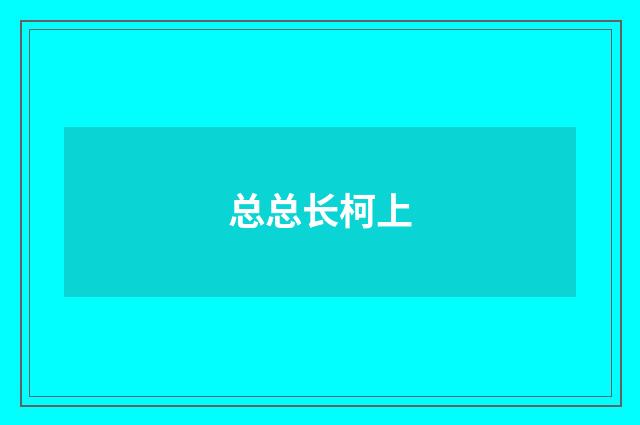总总长柯上