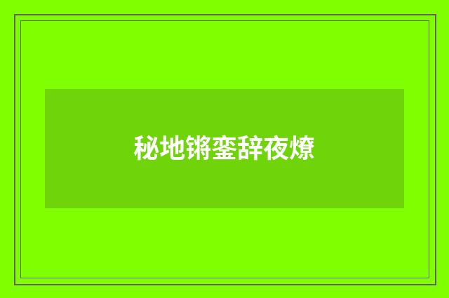 秘地锵銮辞夜燎