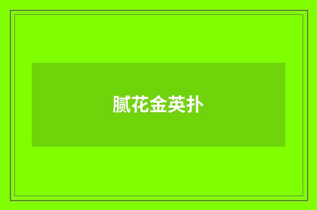 腻花金英扑