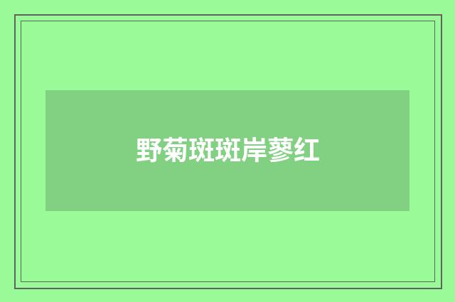 野菊斑斑岸蓼红