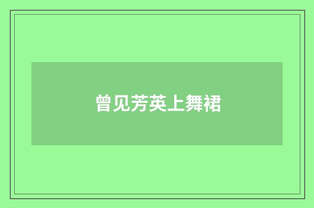 曾见芳英上舞裙