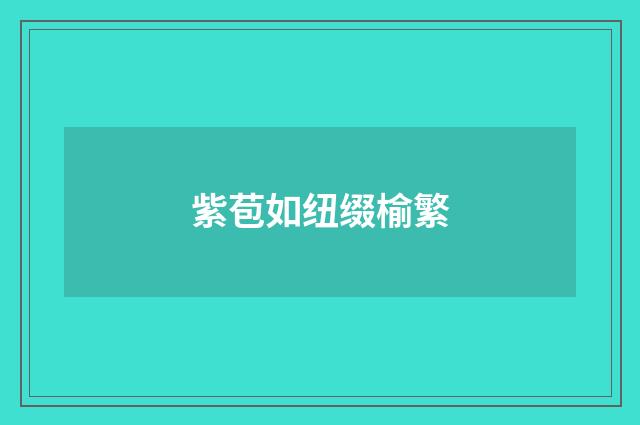 紫苞如纽缀榆繁