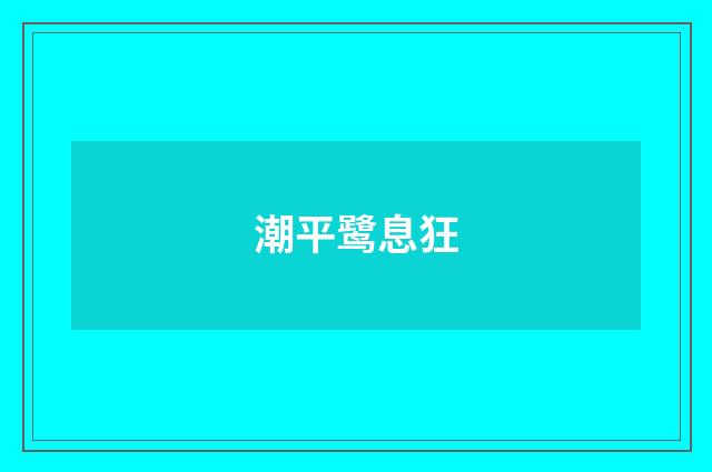 潮平鹭息狂