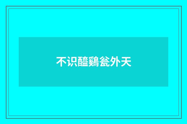 不识醯鷄瓮外天