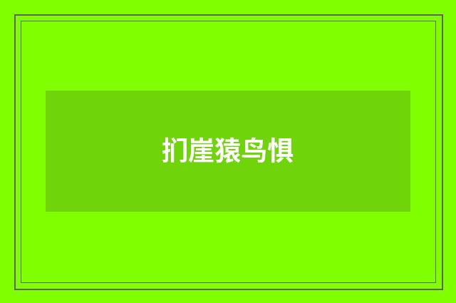 扪崖猿鸟惧