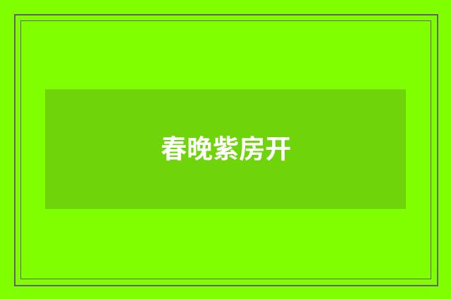 春晚紫房开