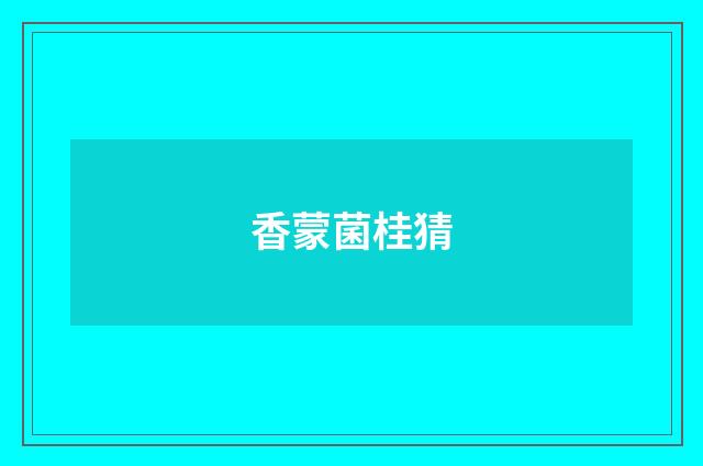 香蒙菌桂猜