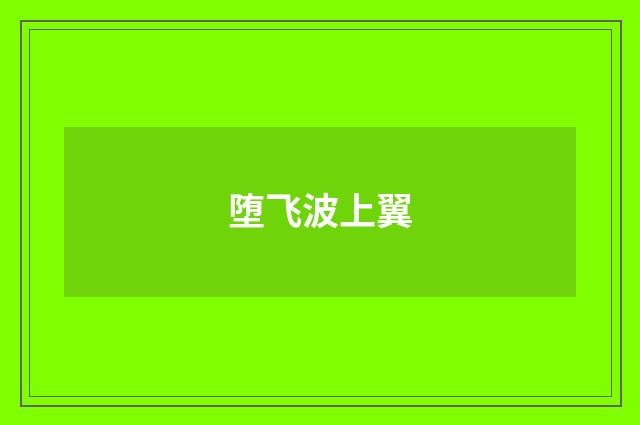 堕飞波上翼
