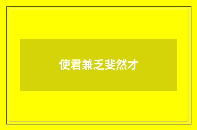 使君兼乏斐然才