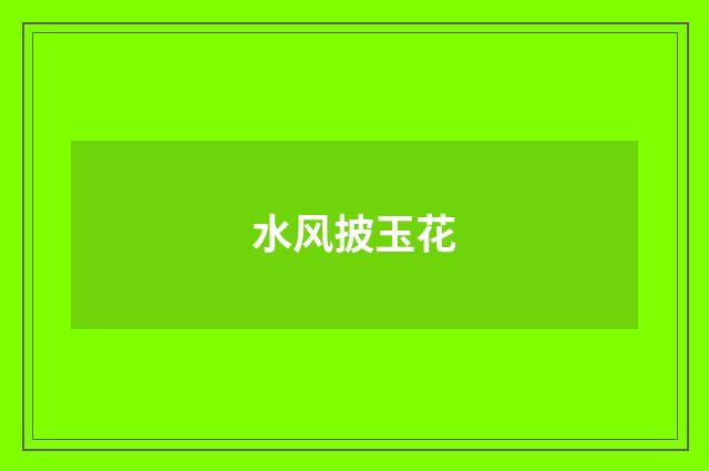 水风披玉花