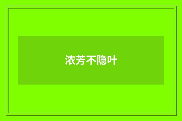浓芳不隐叶