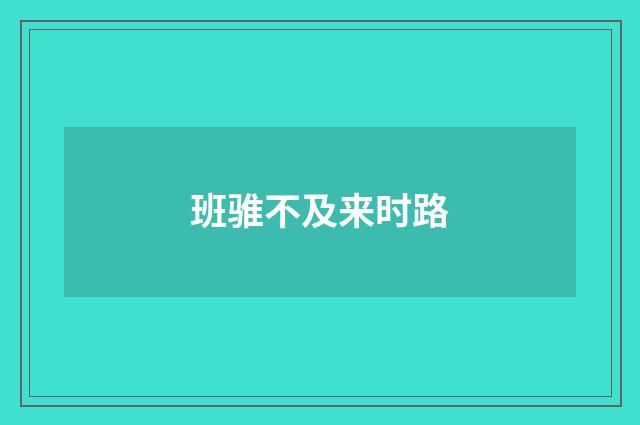 班骓不及来时路