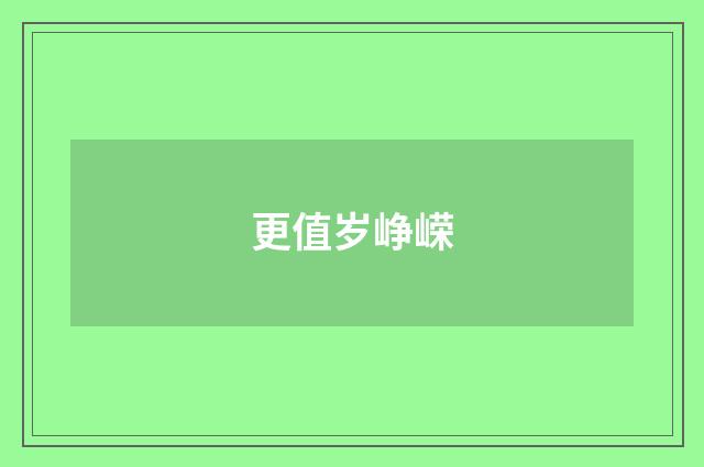 更值岁峥嵘