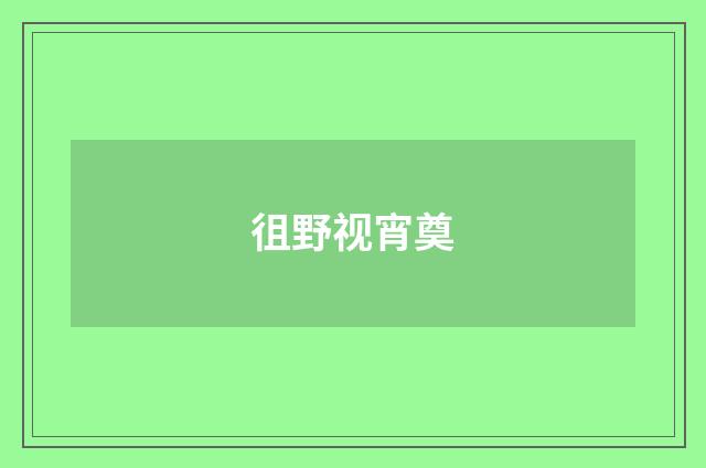 徂野视宵奠