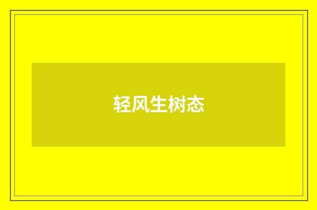 轻风生树态