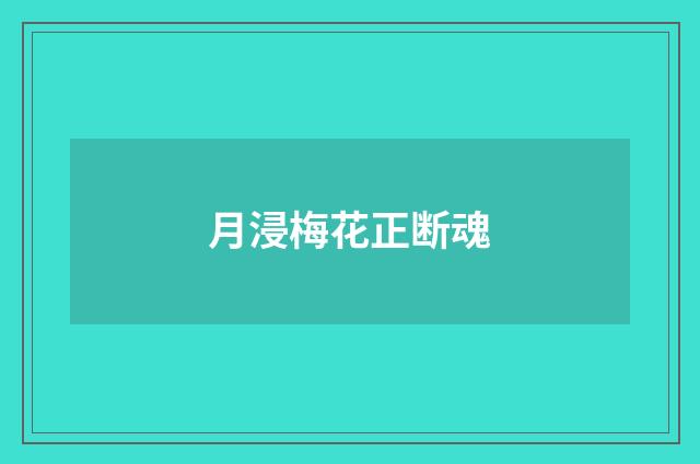 月浸梅花正断魂