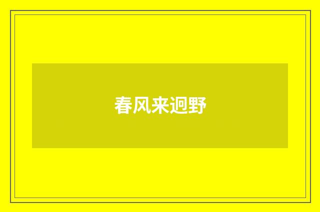 春风来迥野