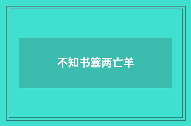 不知书簺两亡羊
