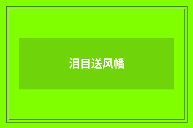 泪目送风幡