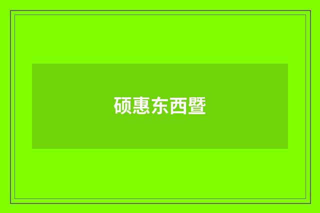 硕惠东西暨