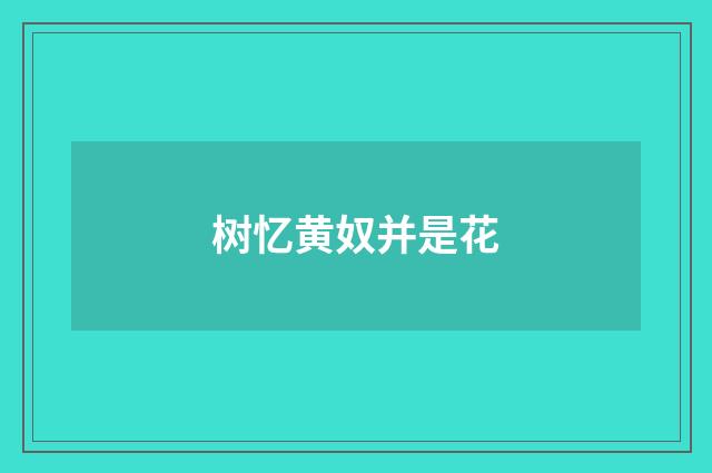 树忆黄奴并是花