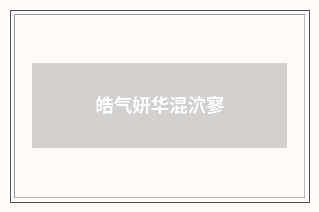 皓气妍华混泬寥
