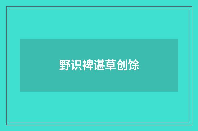 野识裨谌草创馀